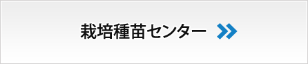 栽培種苗センター