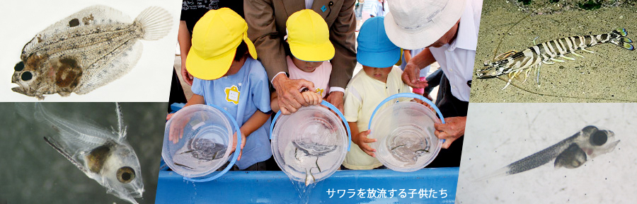香川県水産振興基金